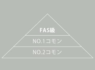 FAS級の説明