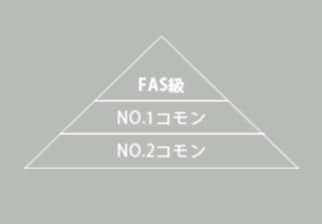 FAS級の説明