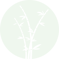 竹